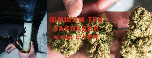 молекула духа Балахна