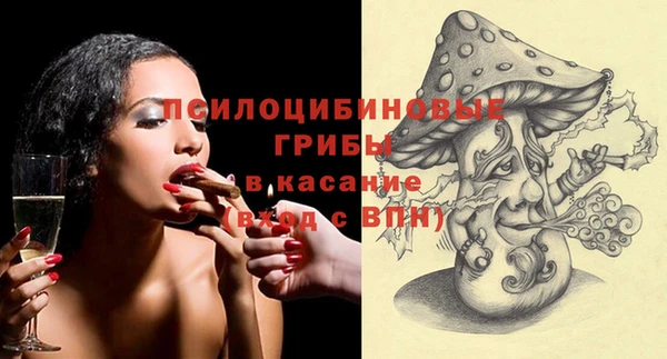 молекула духа Балахна