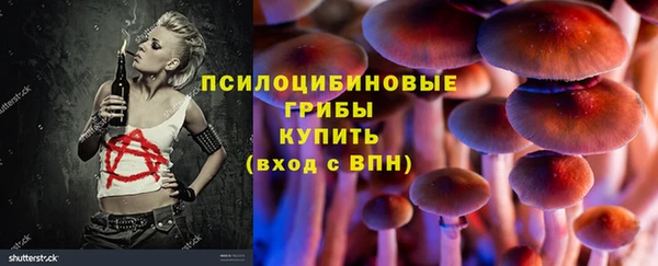 молекула духа Балахна
