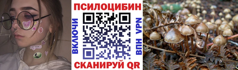 Псилоцибиновые грибы мицелий  Суджа 